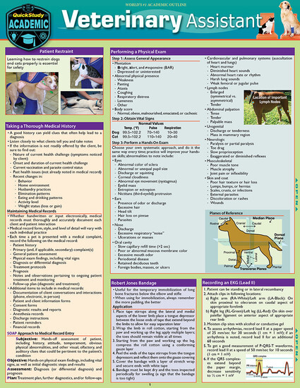 VETERINARY ASSISTANT