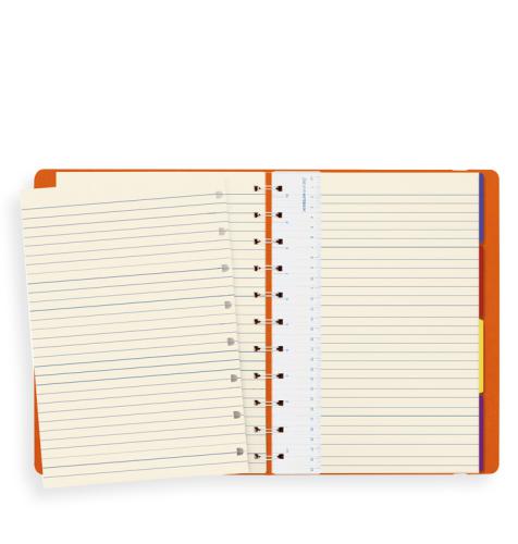 NOTEBOOK: FILOFAX CLASSIC