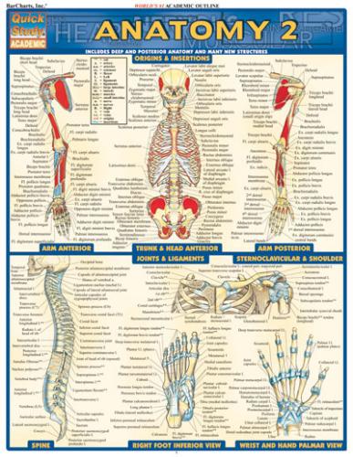 ANATOMY 2