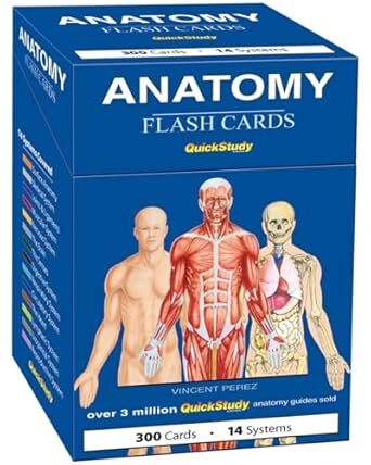 ANATOMY FLASH CARDS