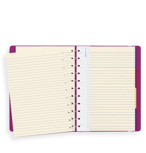 NOTEBOOK: FILOFAX CLASSIC