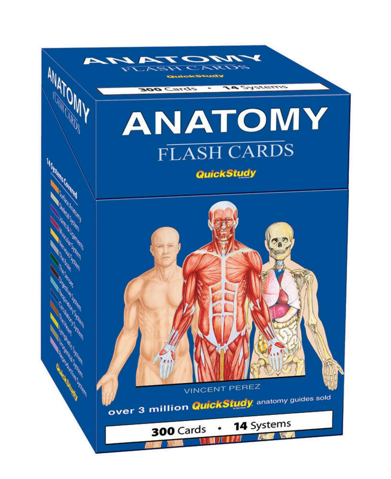 ANATOMY FLASH CARDS