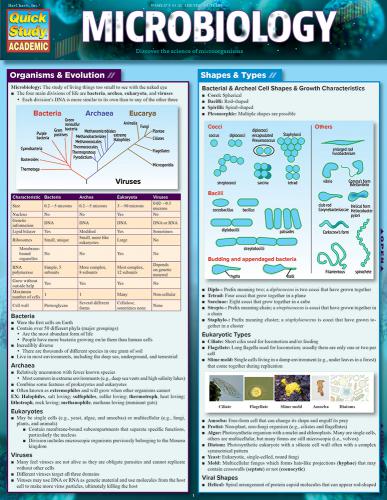 MICROBIOLOGY STUDY GUIDE