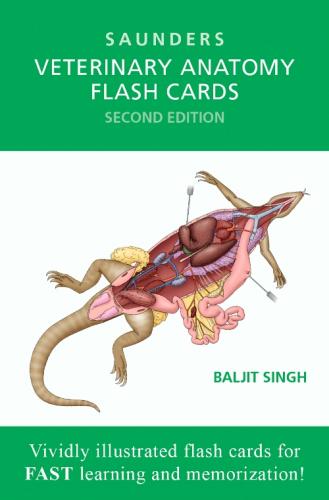 VETERINARY ANATOMY FLASH