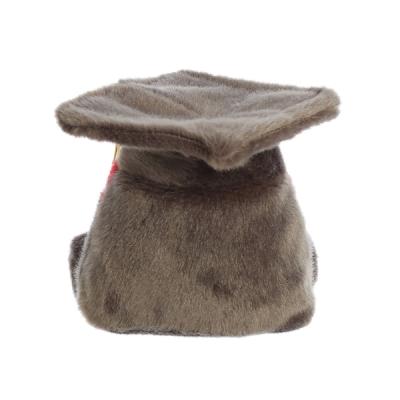 PLUSH: GRADUATION CAP 5