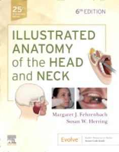 Illustrated Anatomy Of The Head & Neck > O/P