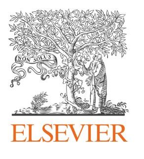 Elsevier Bundle For Pn1 2024-2025