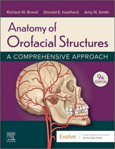 Anatomy Of Orofacial Structures: A Comprehensive Approach