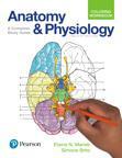 Anatomy & Physiology Colouring Workbook