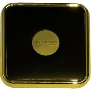 88880081379 Coaster Square (Gold/Leather)