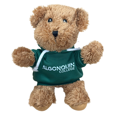 BROWN BEAR IN HOODIE