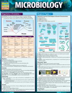 9781423233190 Microbiology Laminated Study Guide