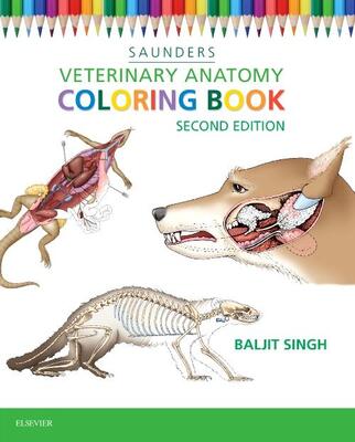 Veterinary Anatomy Colouring Book