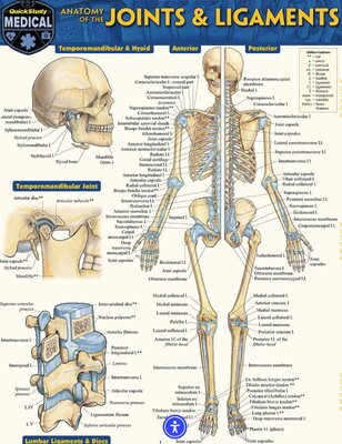 Anatomy Of Joints & Ligaments
